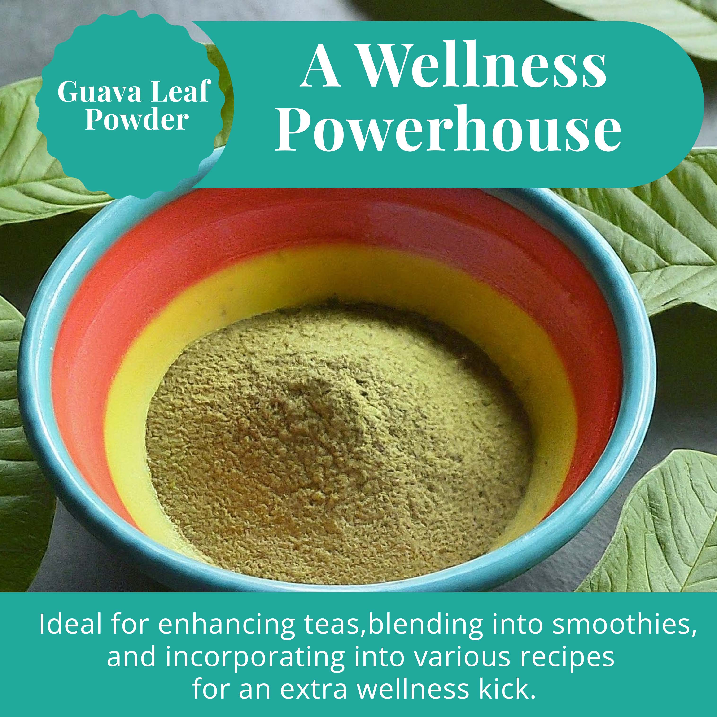 Premium Dried Guava Leaves 2.6 oz. | All Natural Herbal Tea