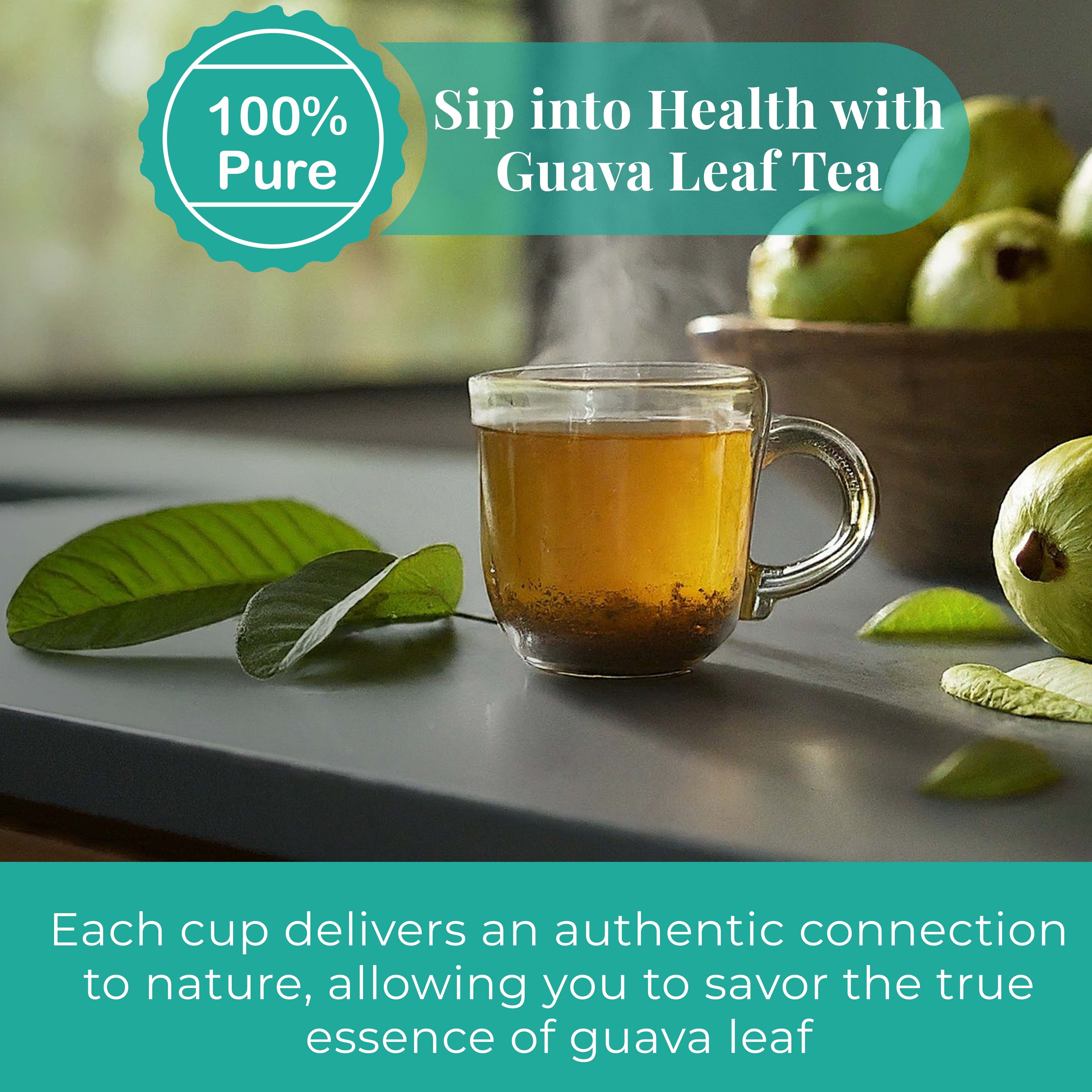 Premium Dried Guava Leaves 2.6 oz. | All Natural Herbal Tea