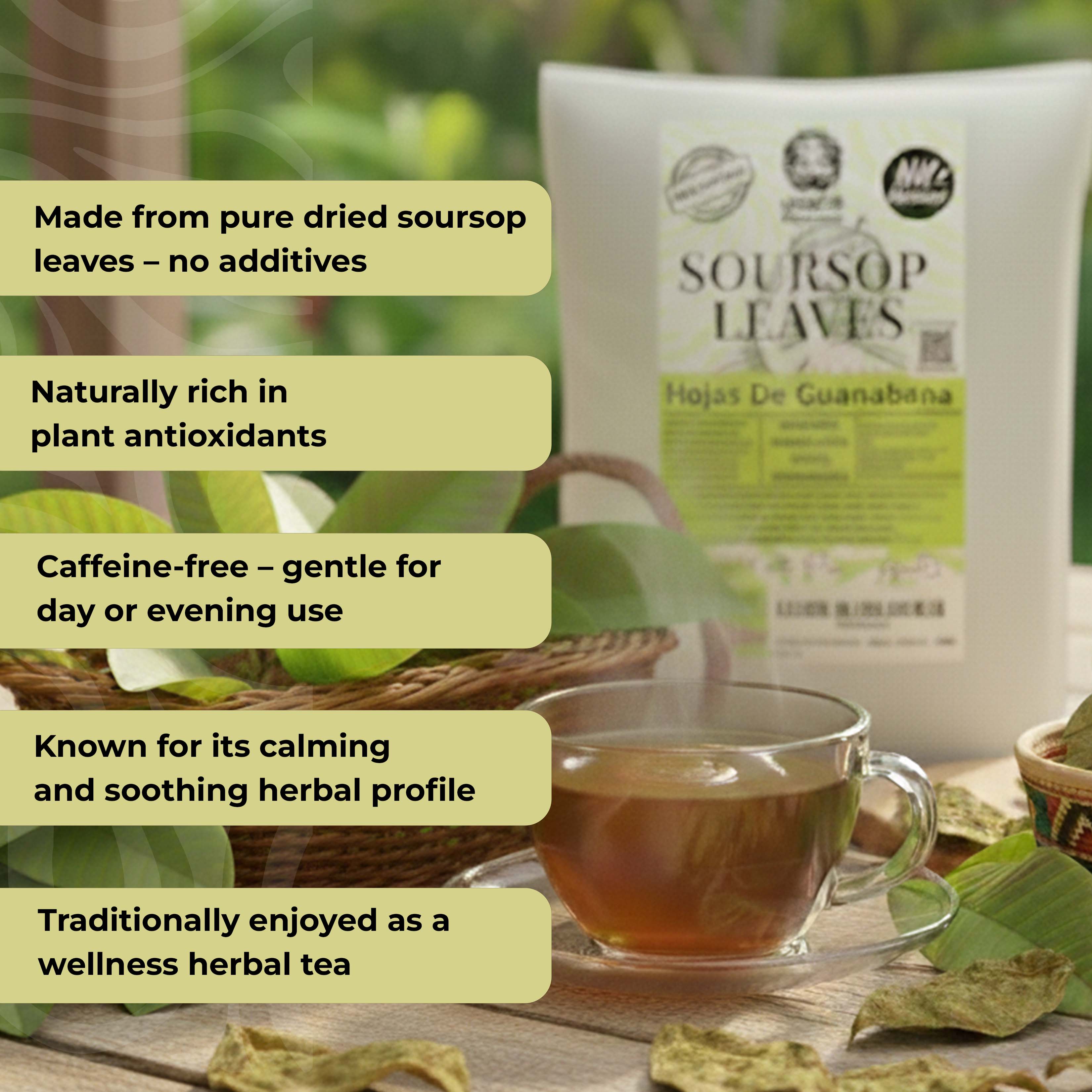 Soursop Leaves 73.8g, Hojas de Guanabana 200+Graviola Leaves