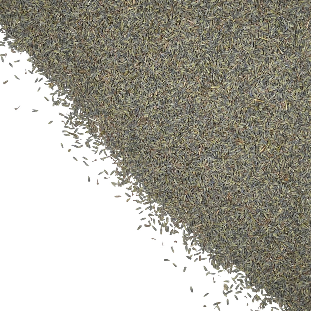 Lavender, Extra Blue Buds | 2oz - 1 KG | Bulk Herbs